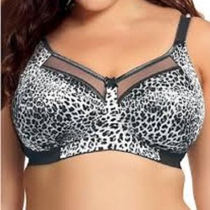 46J Goddess Kayla Snow Leopard Grey